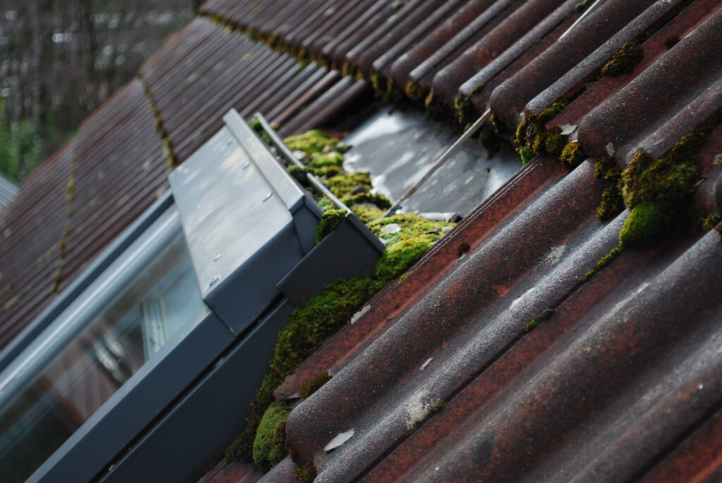 Reinigung der Wasserabläufe, Nachstellen der Federn, Schmieren der Mechanik / Ein Fall für den Profi: Wenn’s zieht, quietscht oder Kondenswasser entsteht